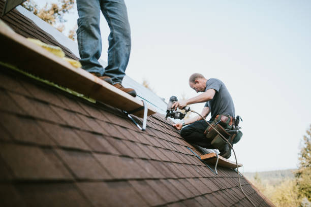 Quick and Trustworthy Emergency Roof Repair Services in Sheldon, TX